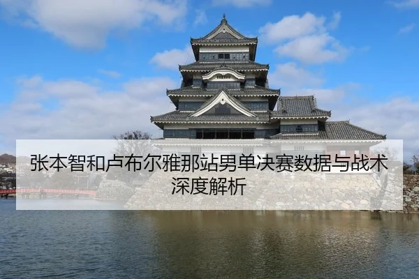 张本智和卢布尔雅那站男单决赛数据与战术深度解析