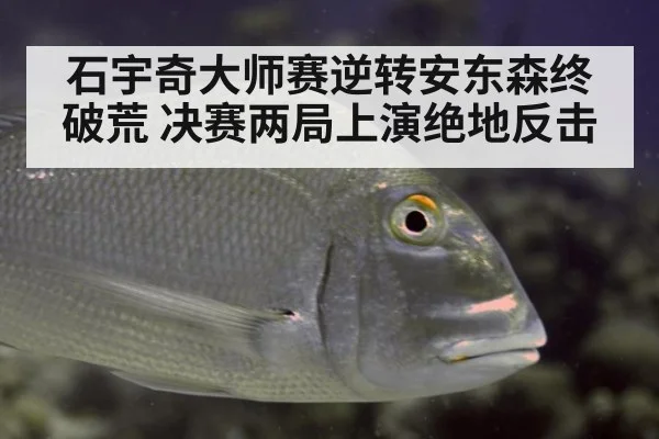 石宇奇大师赛逆转安东森终破荒 决赛两局上演绝地反击